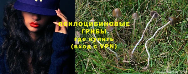 прущие грибы Инта