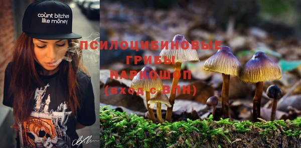 круглые Бородино