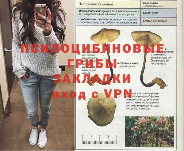 a pvp Бронницы